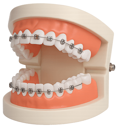teeth
